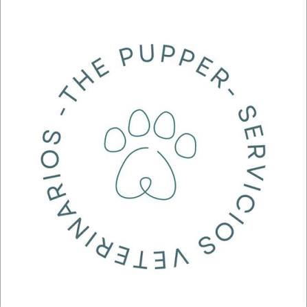 The Pupper Vet